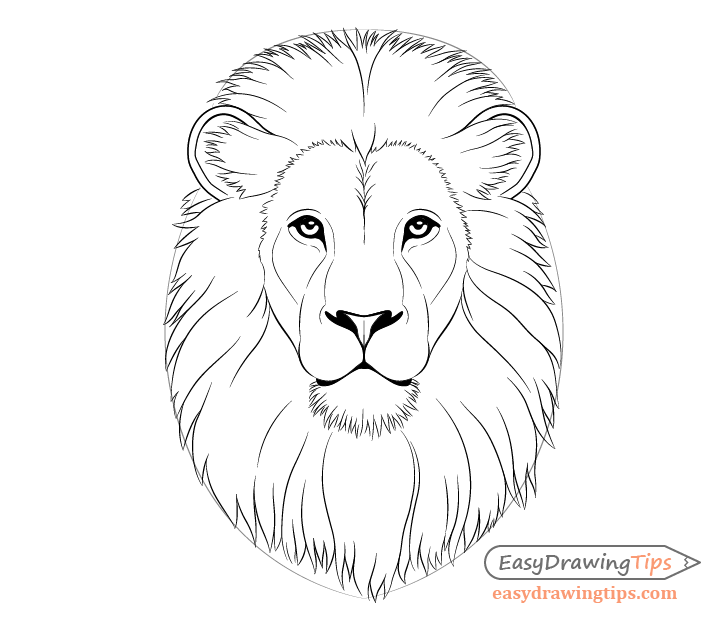 Share more than 78 lion face sketch images latest - in.eteachers