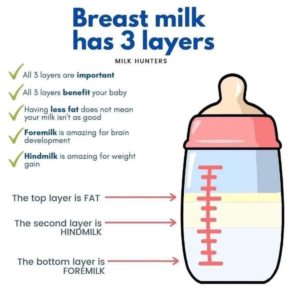 3 layers of BM | Baby breastfeeding, Newborn baby tips, Baby care tips