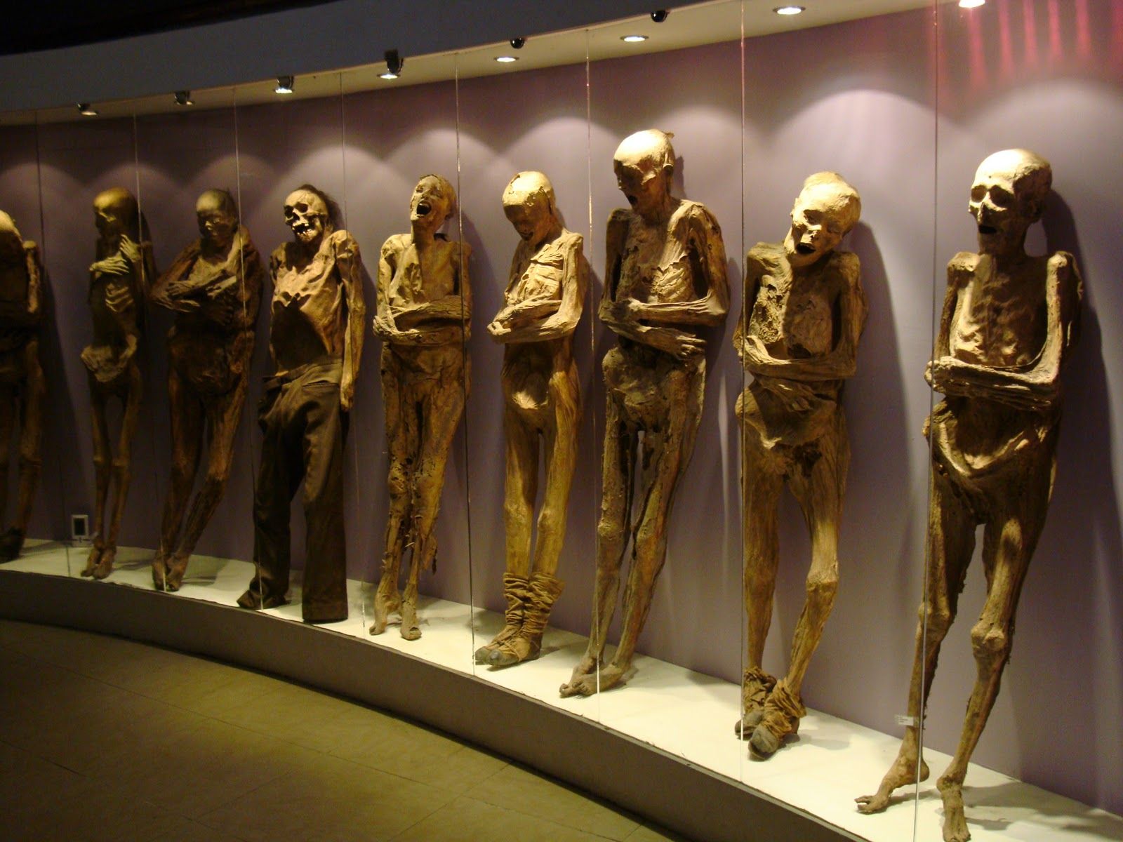 Guanajuato Mummy Museum