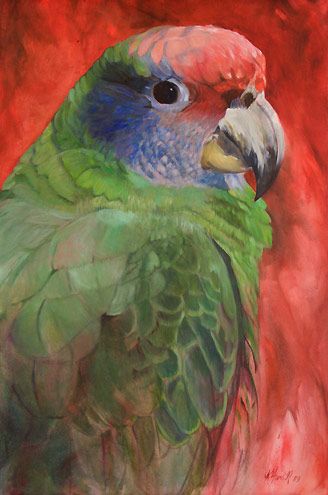 'Papagaio-de-Cara-Roxa' by Kitty Harvill | Parrot painting, Watercolor ...