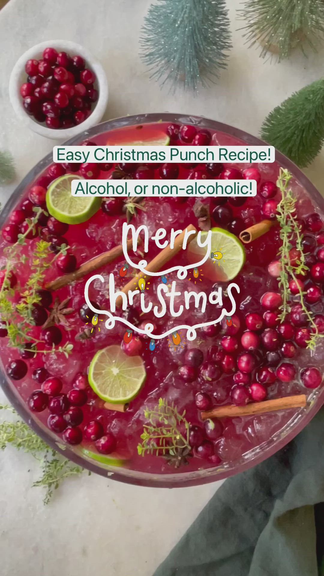 This may contain: merry christmas punch recipe with lemons and cranberries