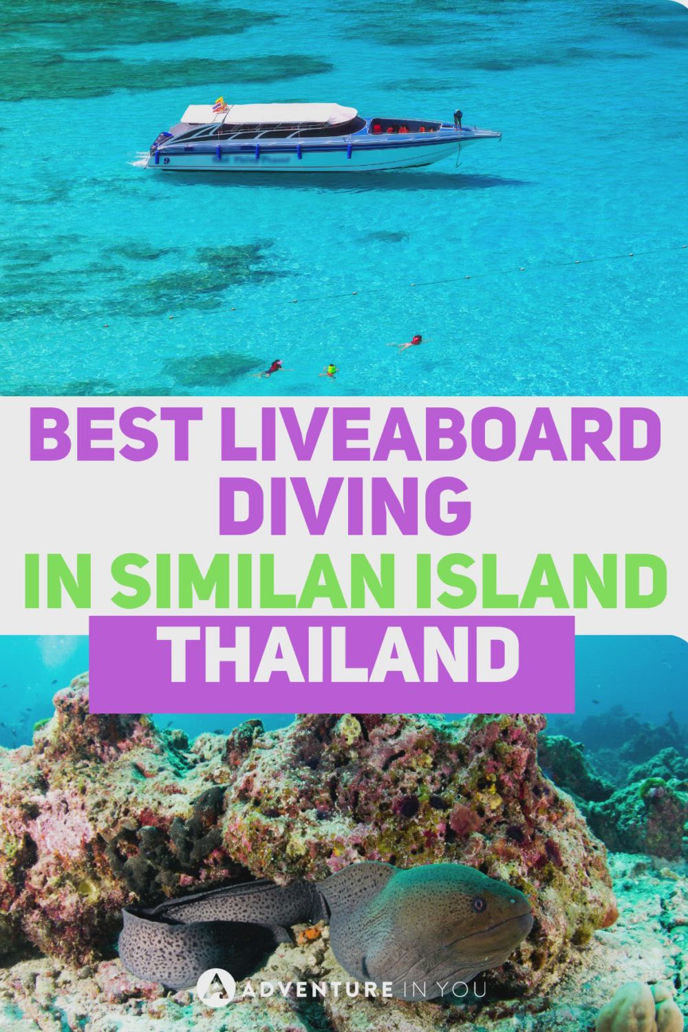 This may contain: the best liveaboard diving in similar island thailand