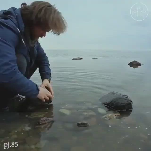 This may contain: a person kneeling down in the water with rocks on the shore and one hand reaching for something