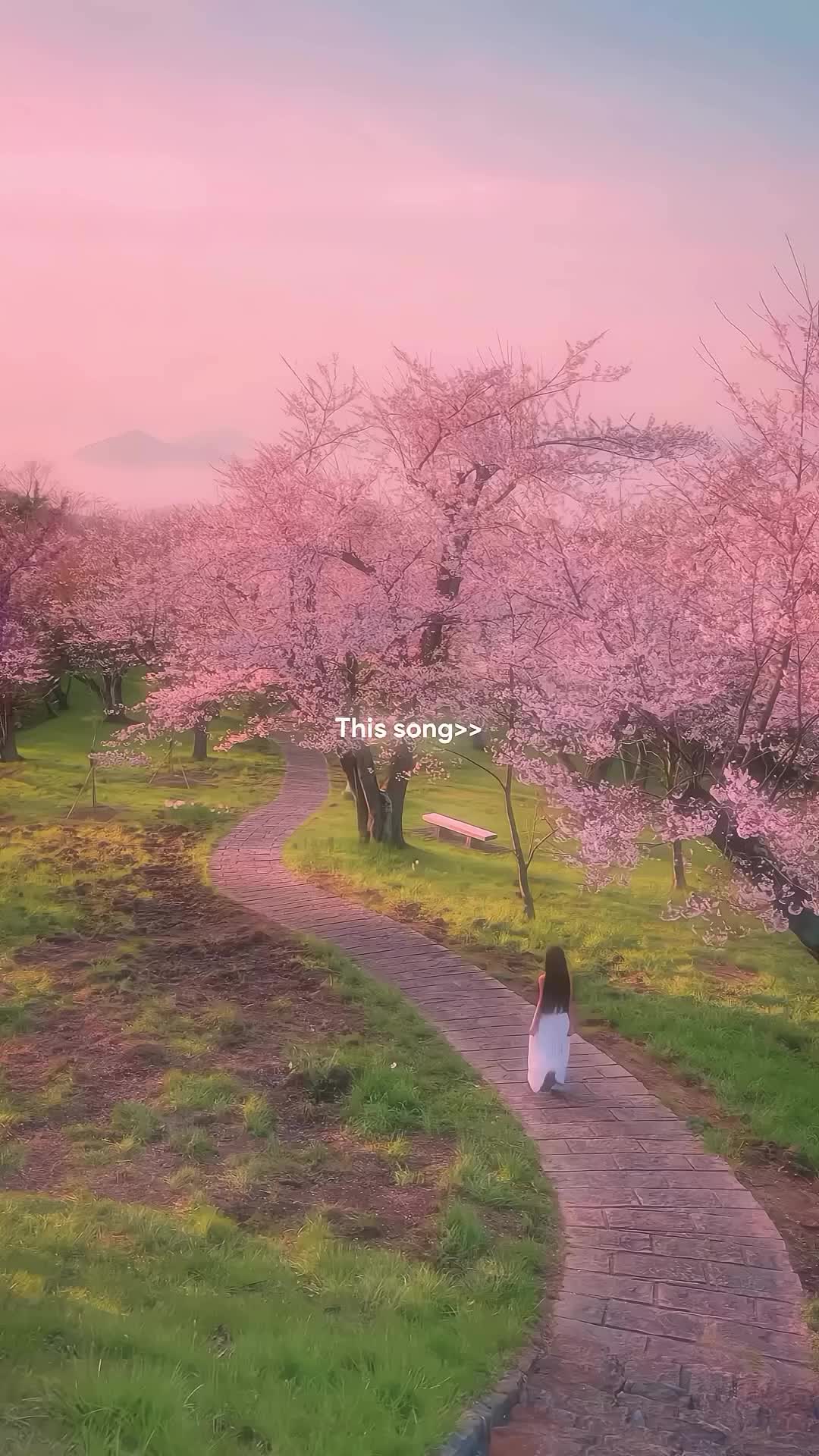 This may contain: a woman is walking down a path with pink flowers on the trees in the background