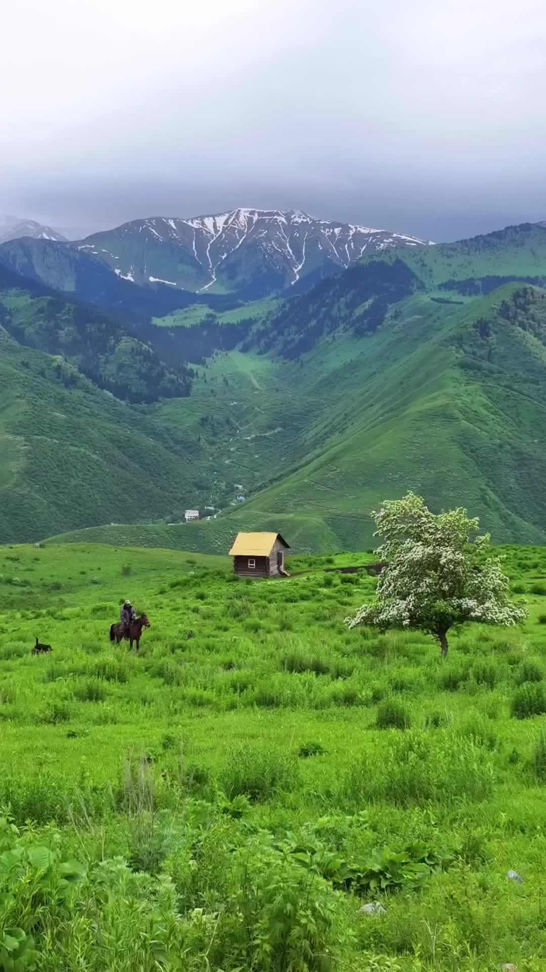 This may contain: two horses graze in an open field with mountains in the background