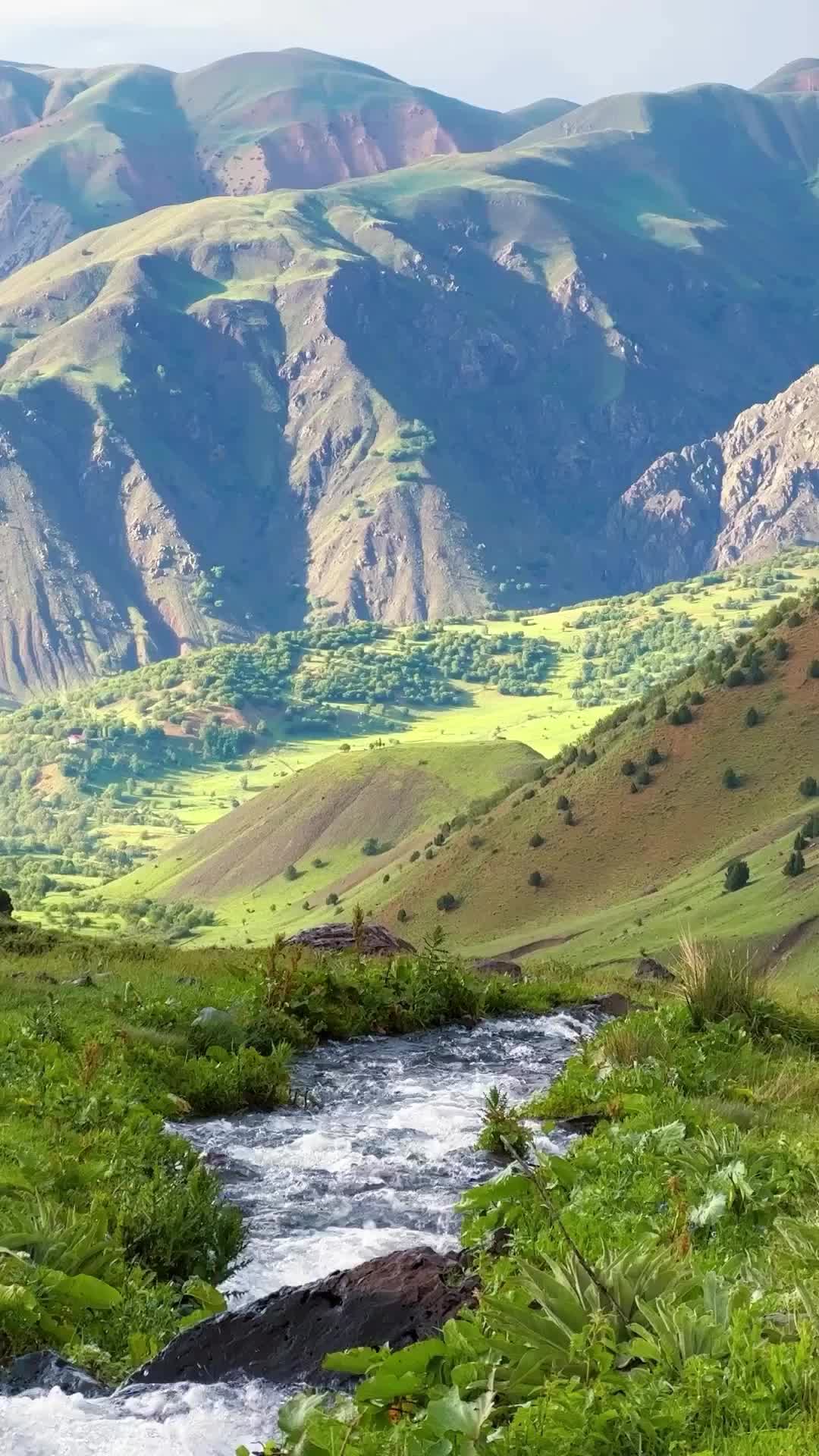 This may contain: a stream running through a lush green valley