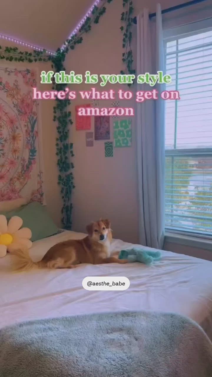 This may contain: a dog laying on top of a bed next to a window with the words, if this is your style here's what to get on amazon