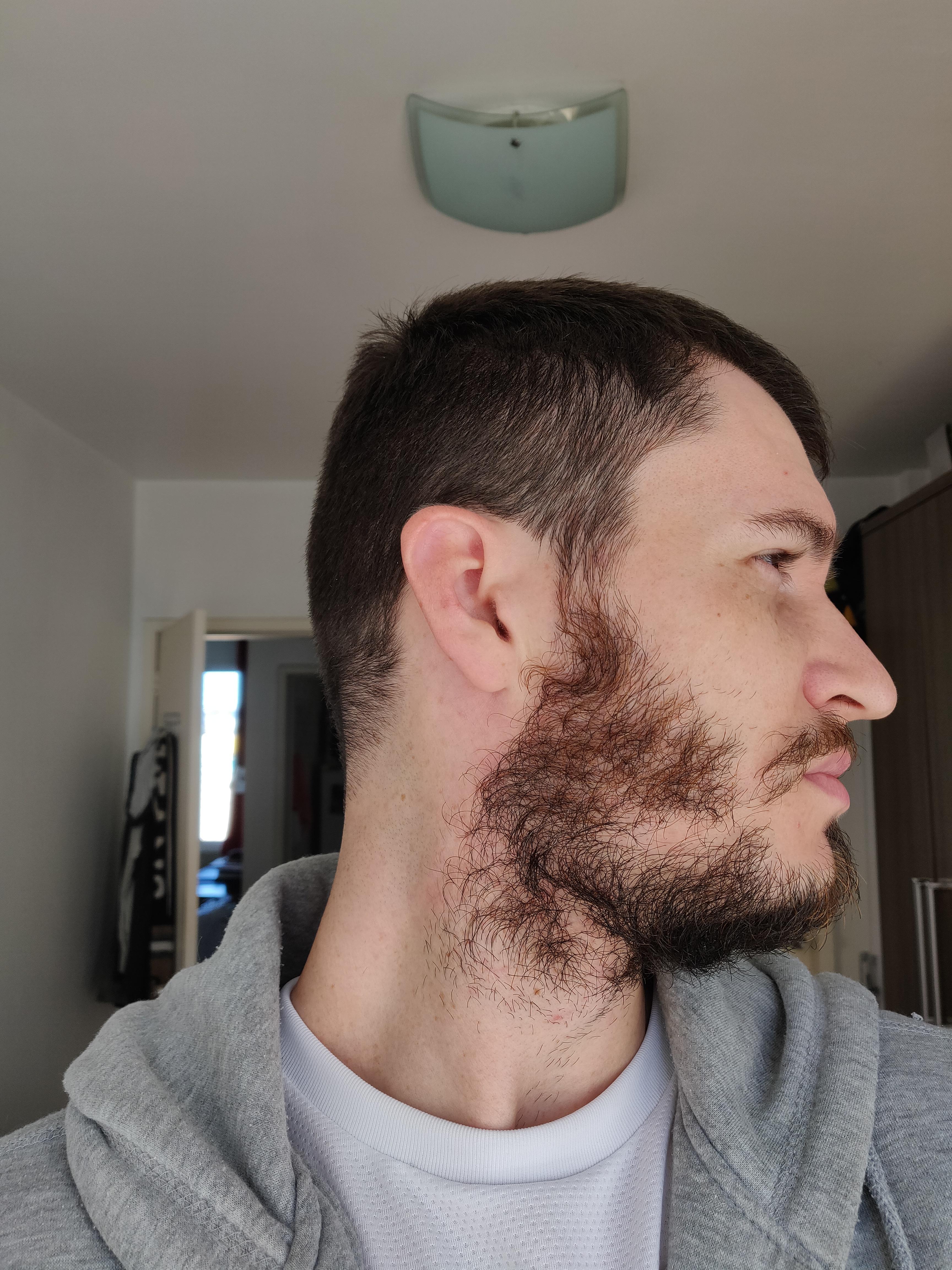 Hello guys! I would like to know what you guys think of this beard ...