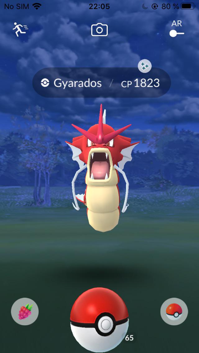 Shiny Gyarados