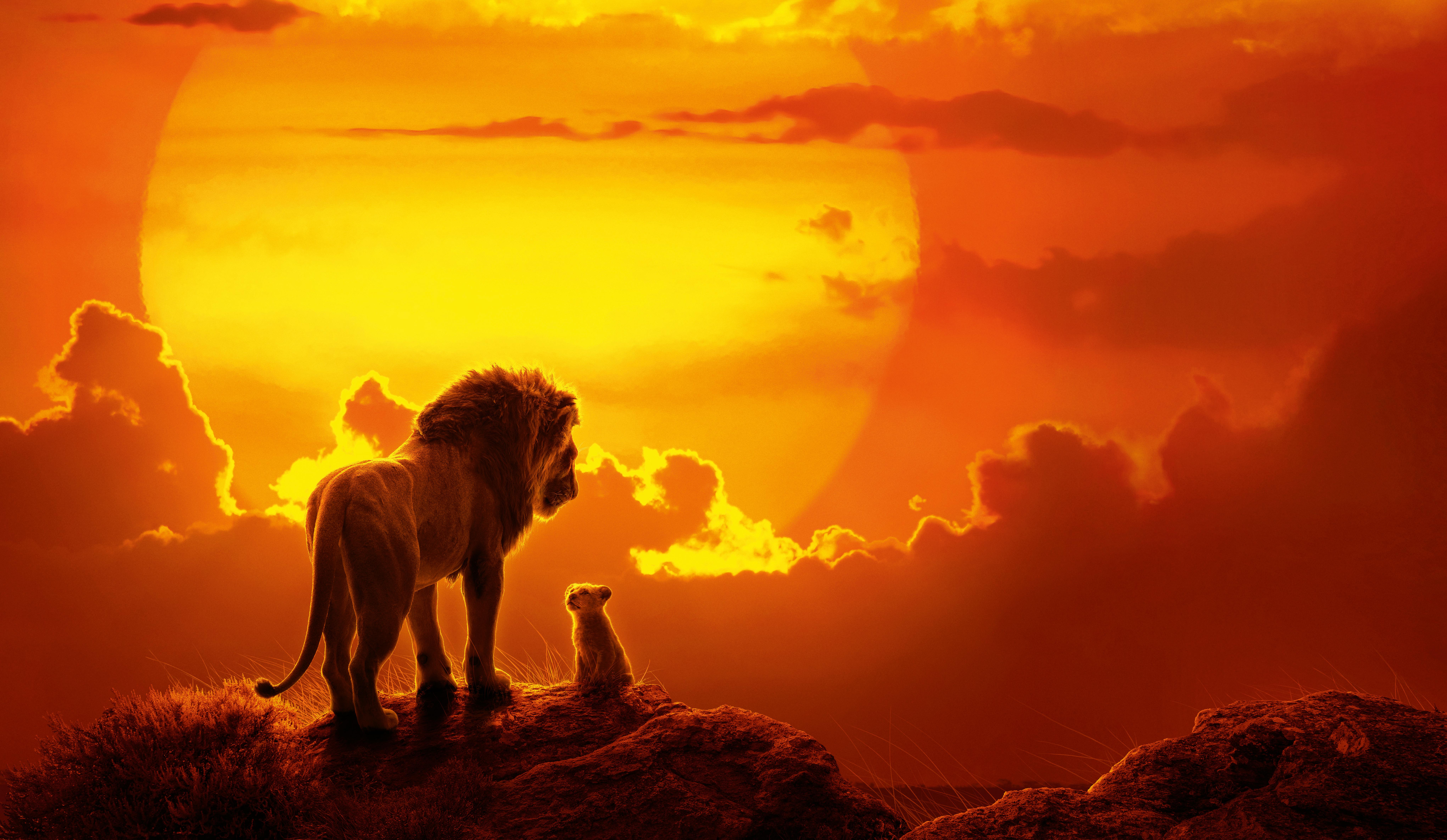 Lion King Sunset (3840x2160) : r/wallpaper