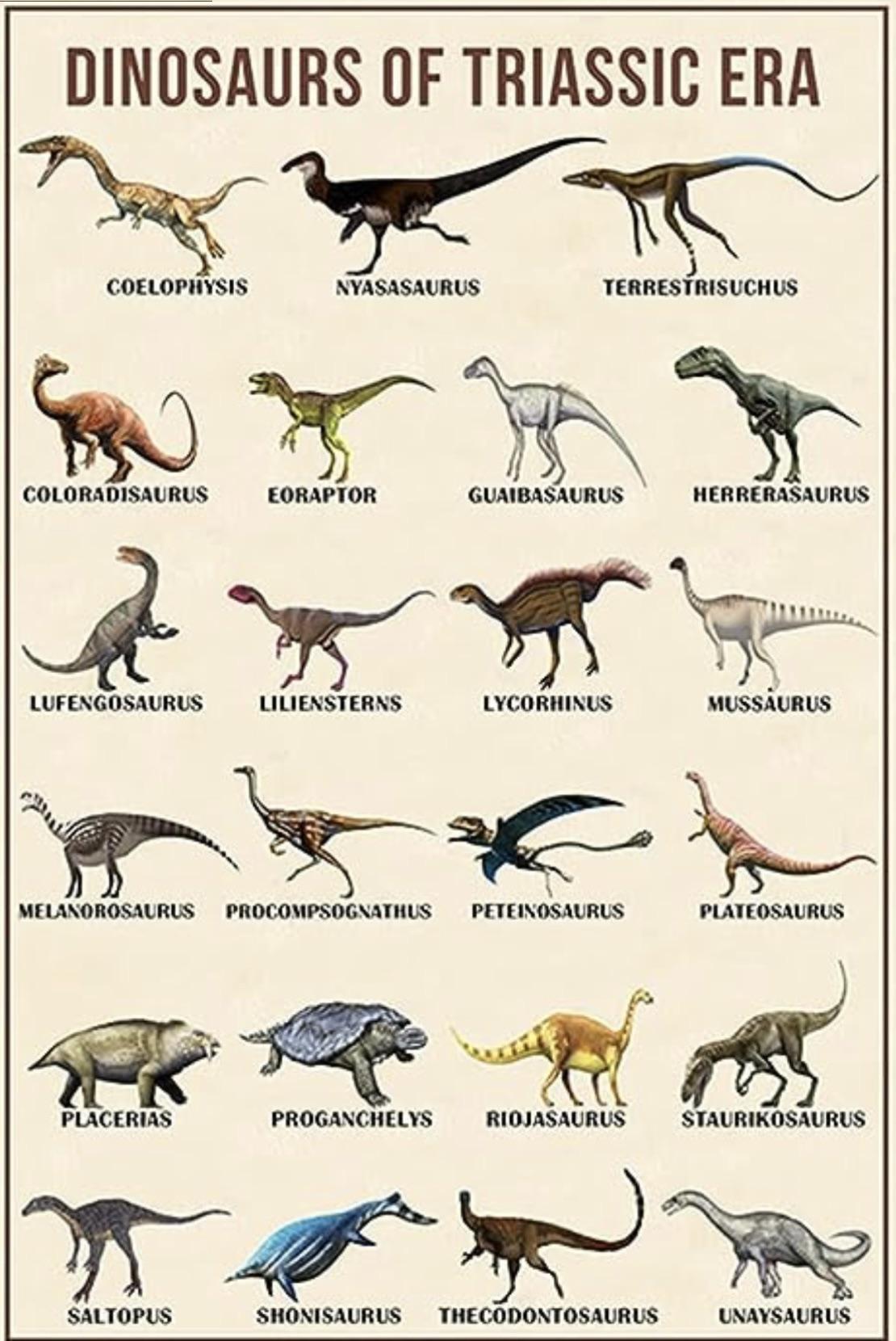 Triassic Animals