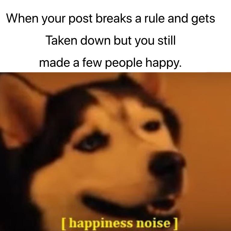 happy sounds* : r/memes