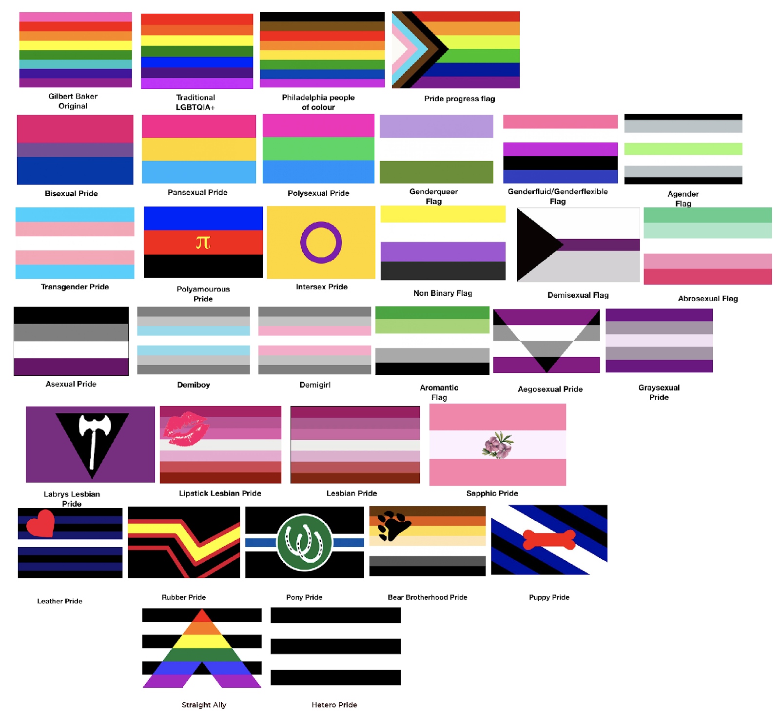 Lgbtq All Pride Flags And Names For A Pride Flag List Of All | The Best ...