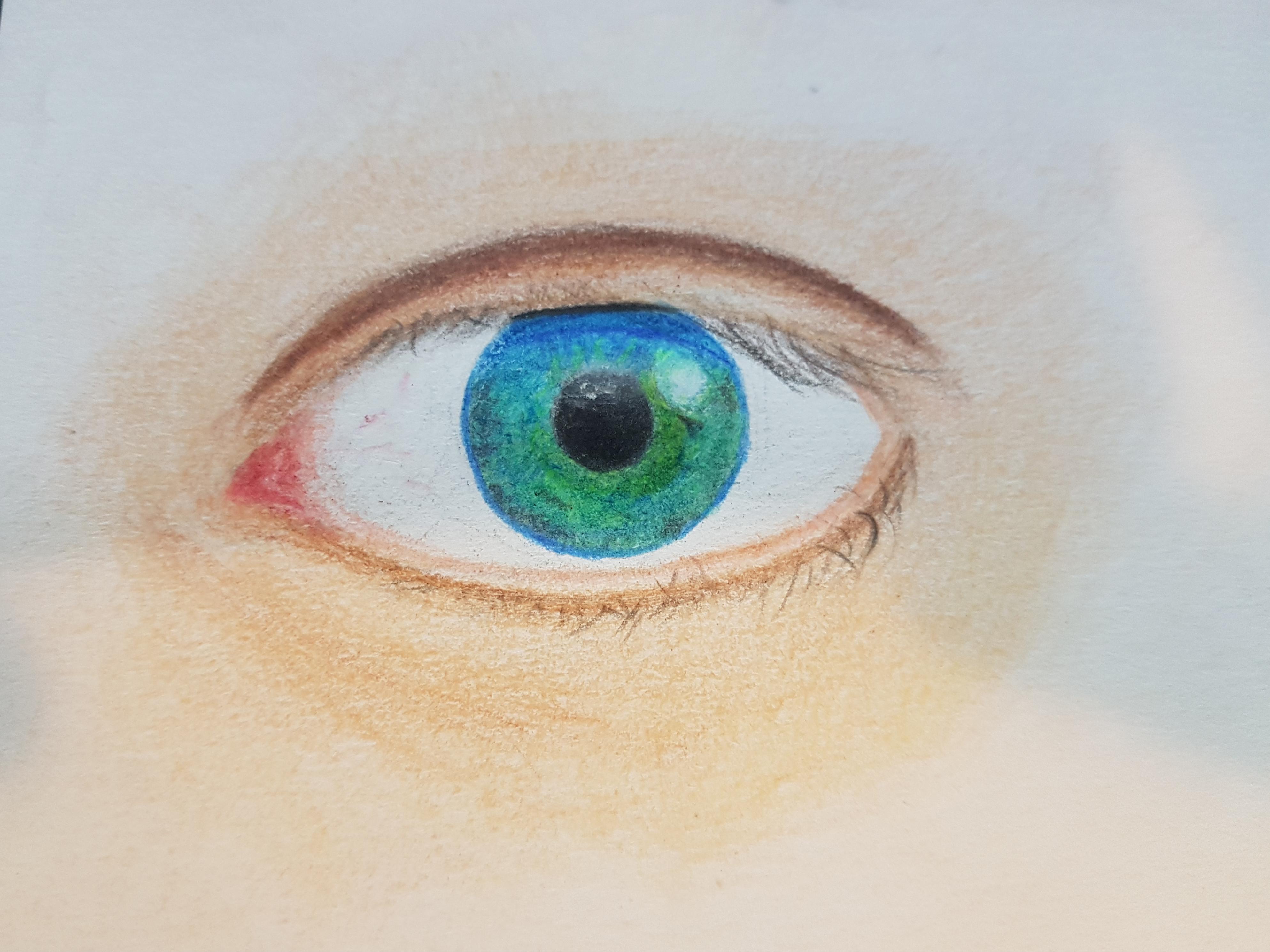 Eye tried. Pencil crayon 2x3 in : r/Art