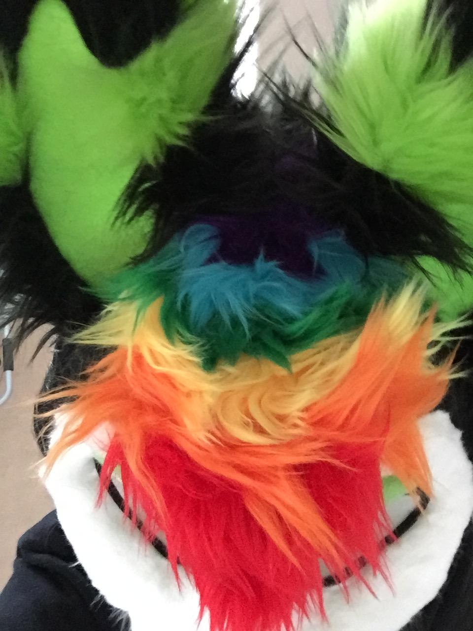 My rainbow floof : r/LGBTfurry