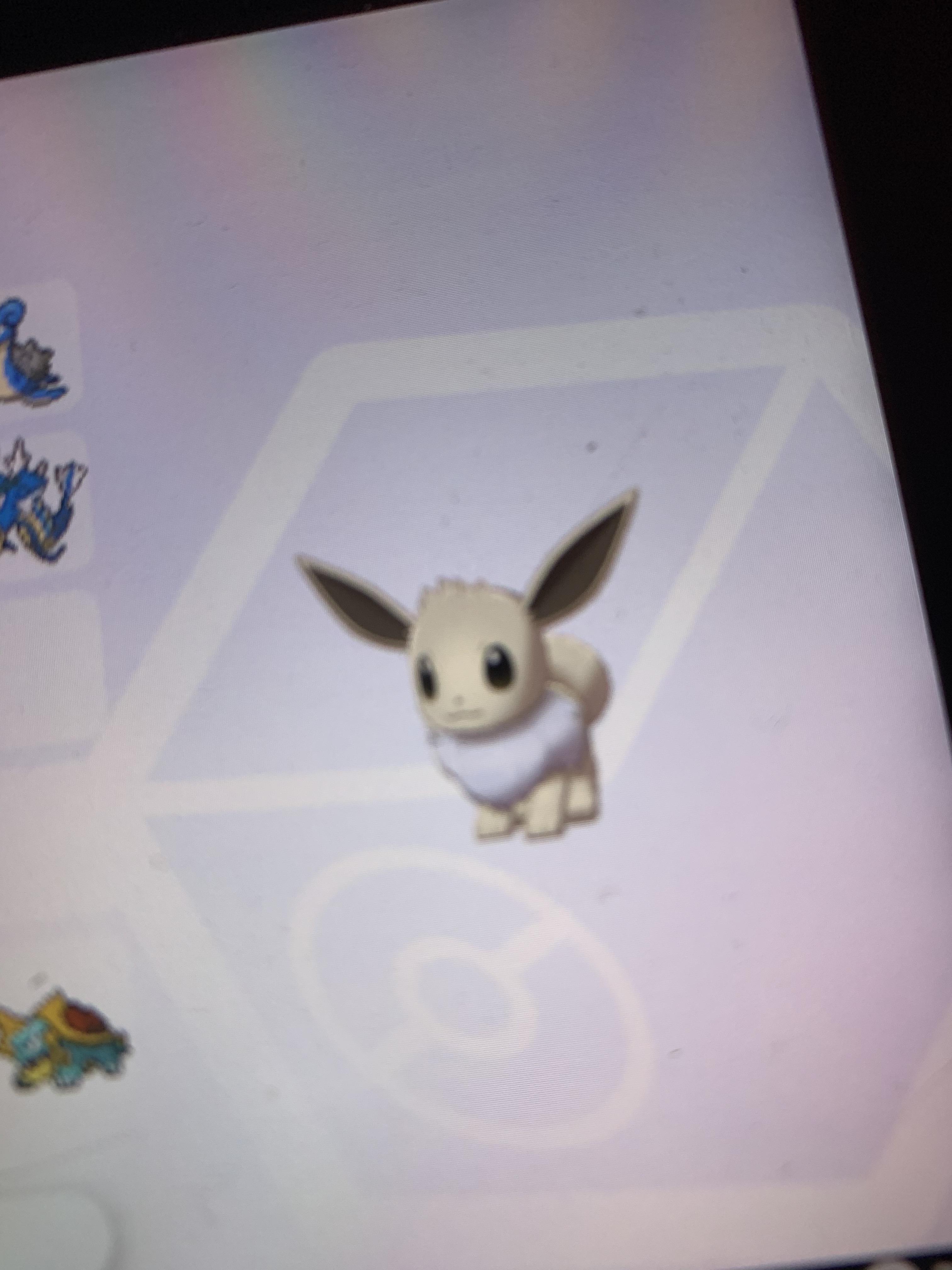 [8] second shiny eevee : r/ShinyPokemon