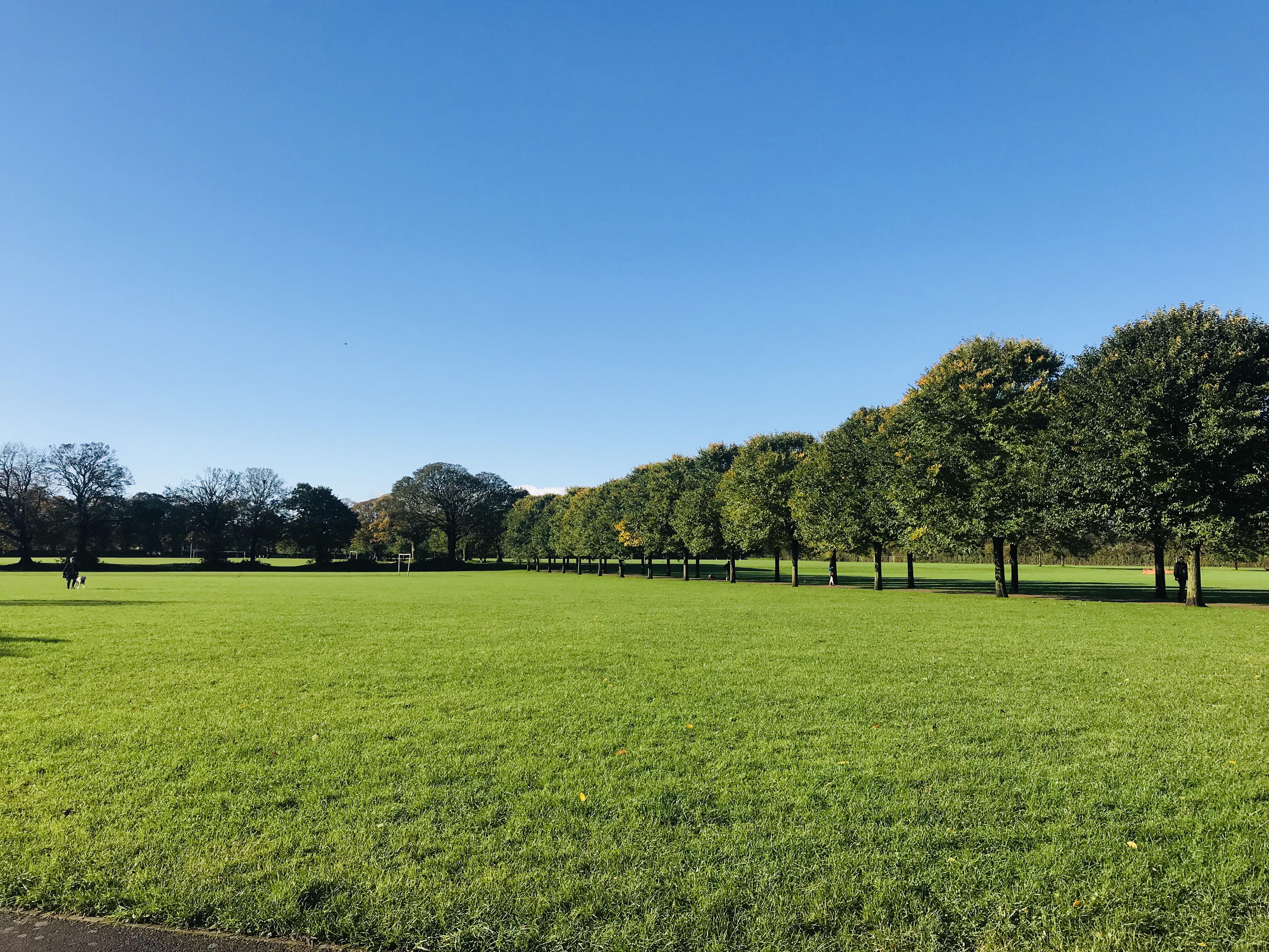 Pontcanna fields : r/Cardiff