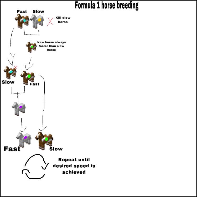 Minecraft Horse Breeding Chart