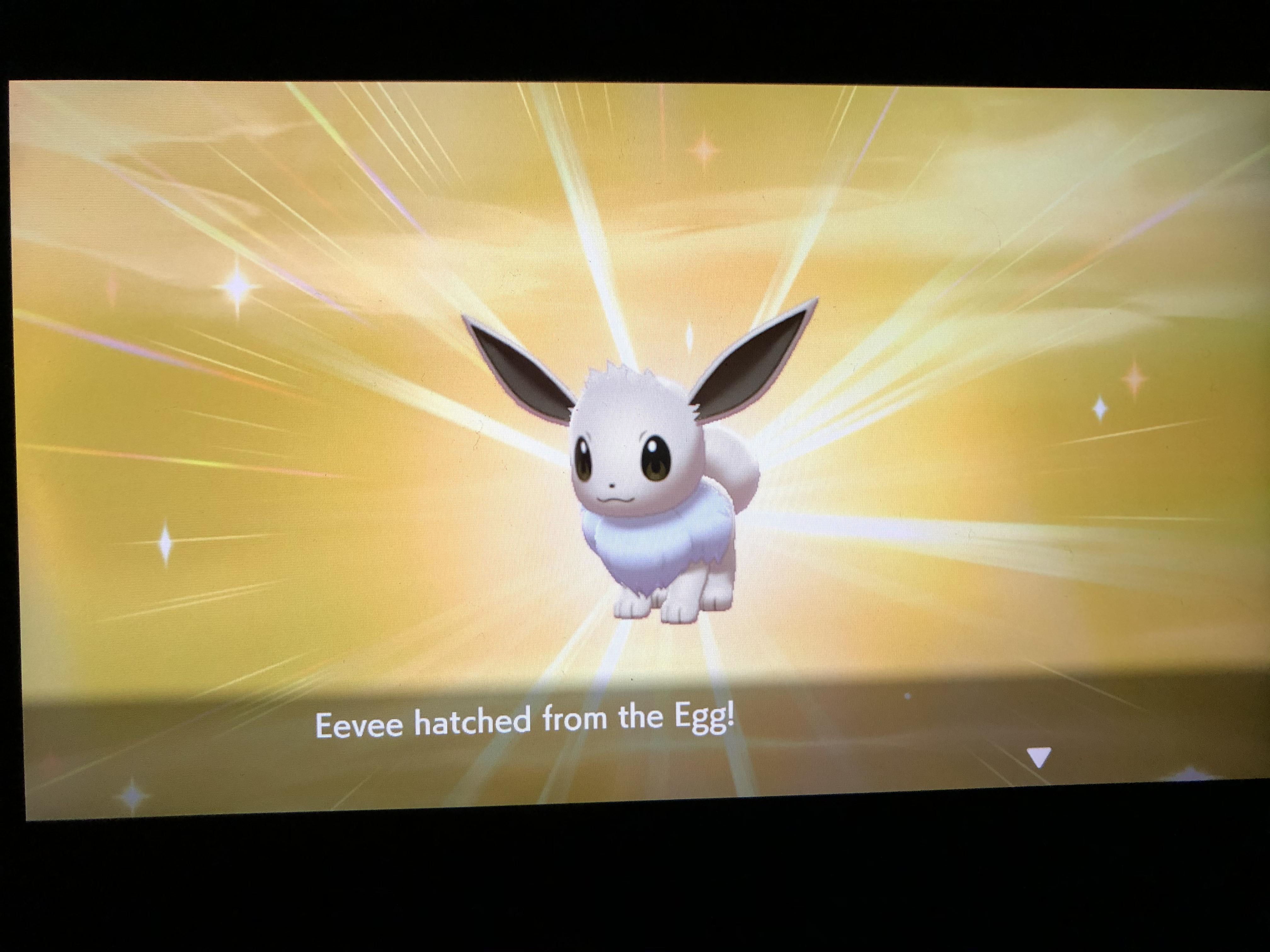 My 1st shiny!!! After hatching 141 eggs! : r/PokemonSwordAndShield