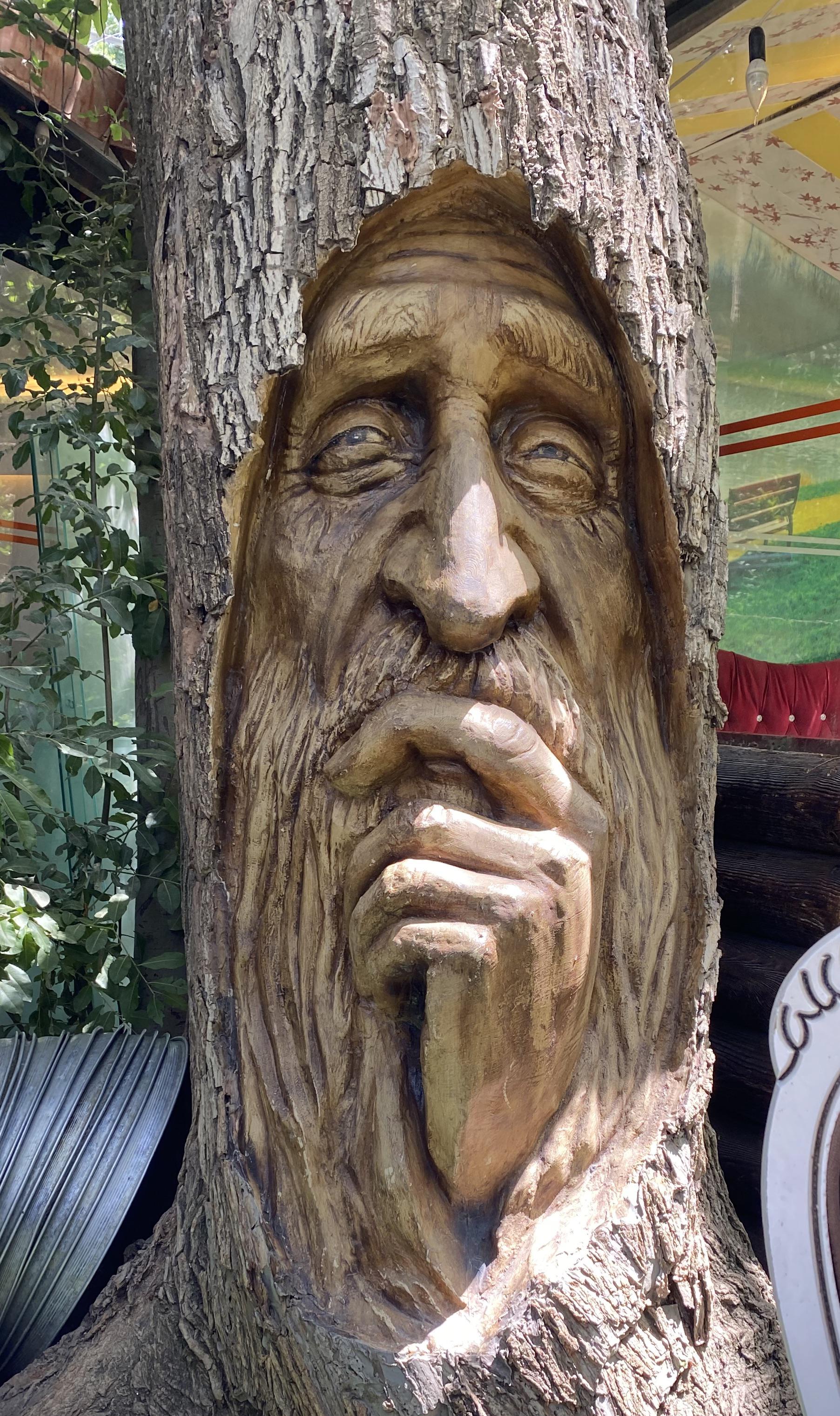 Tree Trunk Face