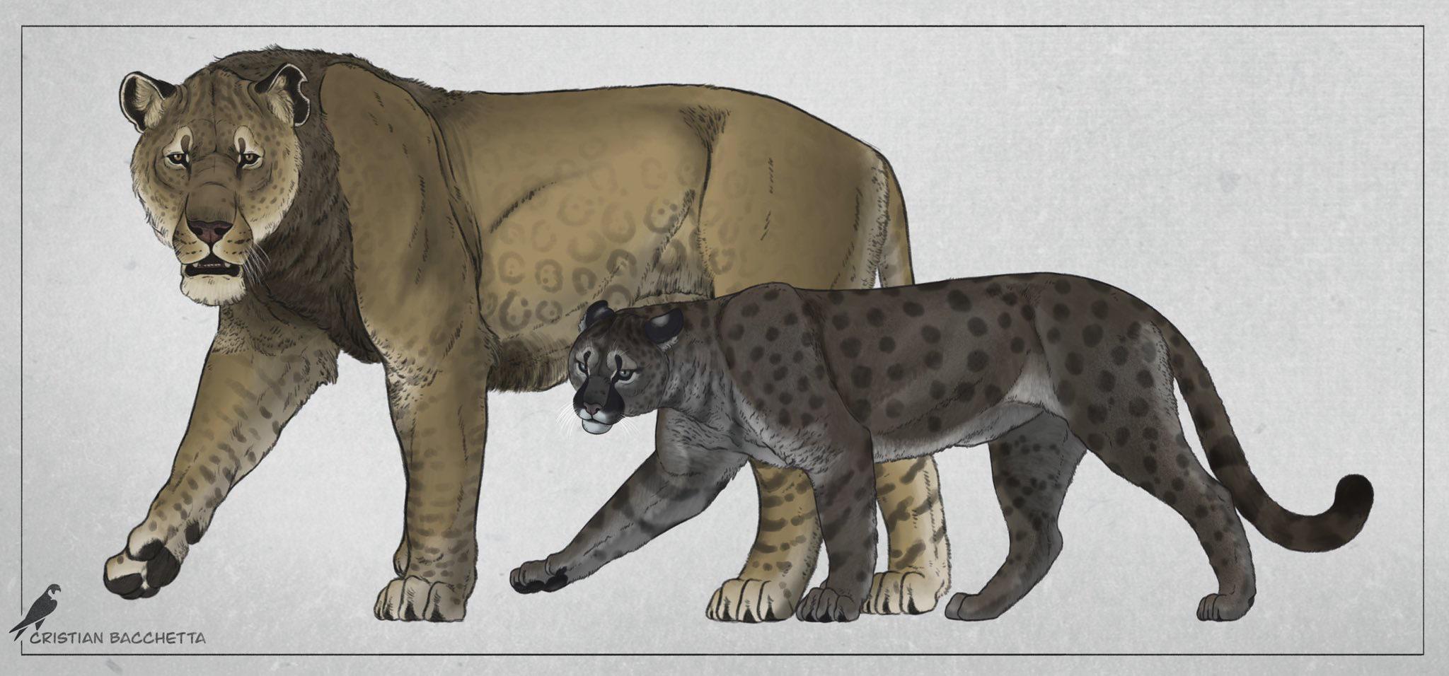 Two former top predators of Late Pleistocene North America by ...