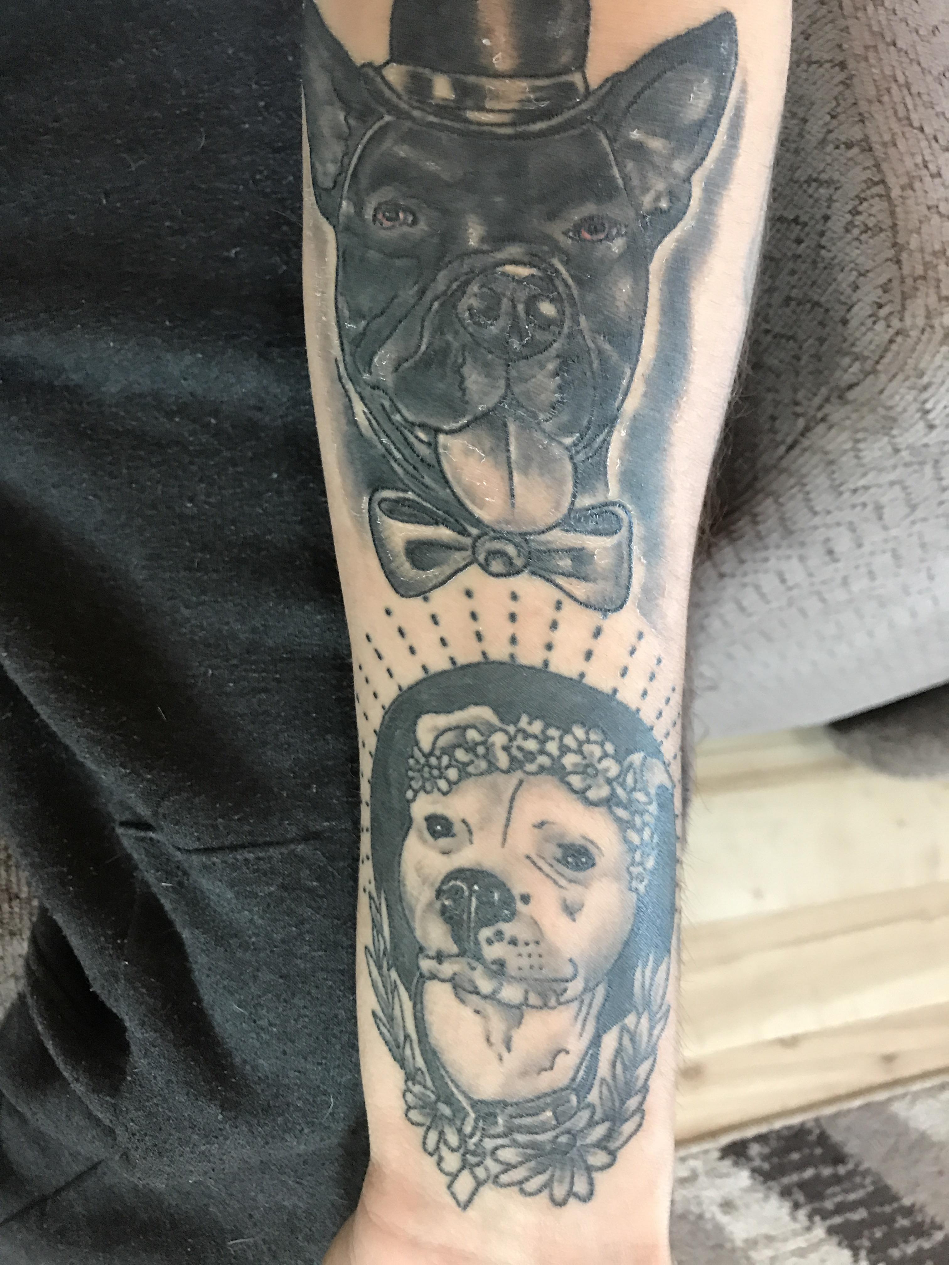 Damians dog portrait tattoo  Dog portrait tattoo Dog memorial tattoos Traditional  tattoo dog