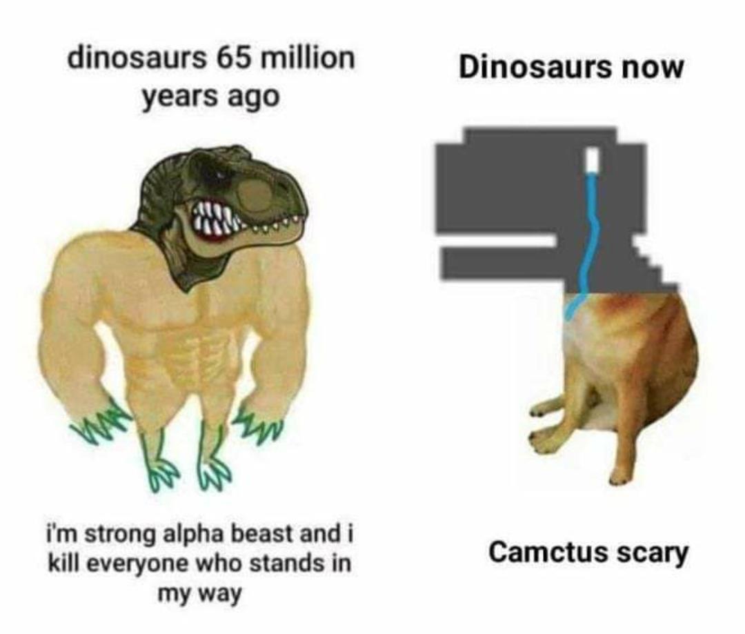 Dinosaur Memes for Jurassic Jokers - Memebase - Funny Memes