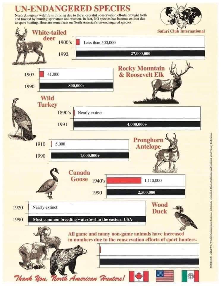 Very cool graphic to show the affects of regulated hunting. : r/Hunting