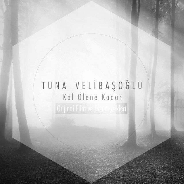 Tuna Velibaşoğlu