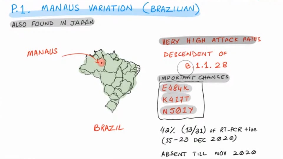 SARS-COV-2 - New Brazilian Strain P.1 Manaus