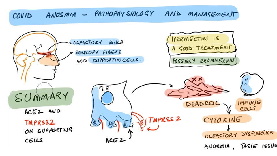 Ivermectin and COVID Anosmia A Review of Studies