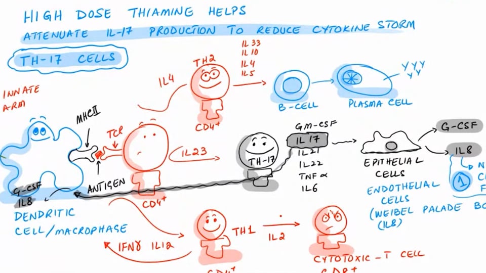 High Dose Thiamine And Cytokine Storm