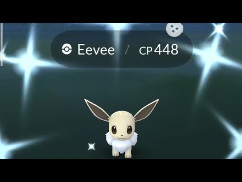 Catching A Shiny Eevee | Pokemon Go - YouTube