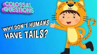 Why Don't People Have Tails? | COLOSSAL QUESTIONS