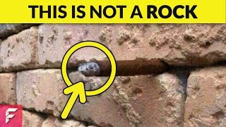 ONLY 1 OUT OF 1000 CAN SEE WHAT'S EXACTLY INSIDE THE WALL | TOP 10 OPTICAL ILLUSIONS EVER!