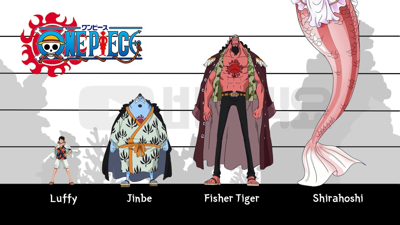 Size Comparison Of One Piece Characters From The Official, 49% OFF