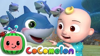 baby shark abckidtv nursery rhymes kids songs