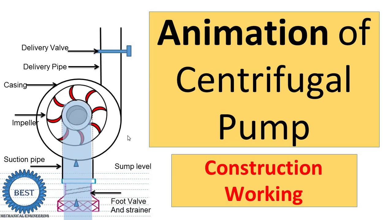 Discover 68+ centrifugal pump sketch super hot - seven.edu.vn