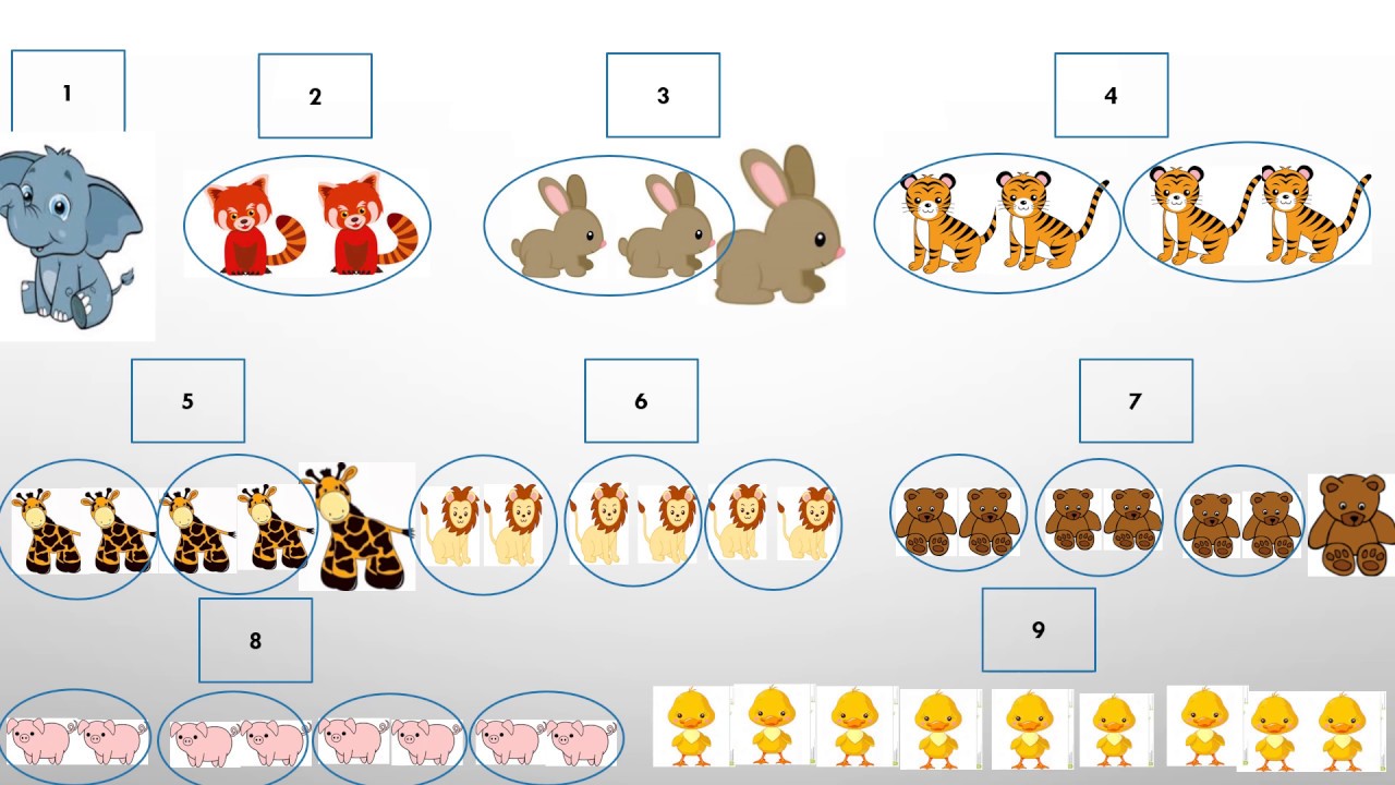 Even and odd numbers for kids | story based explanation - YouTube