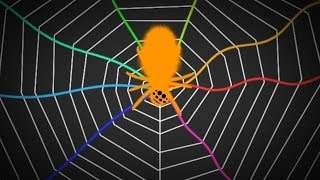 Spiders Tune Their Webs Like A Guitar