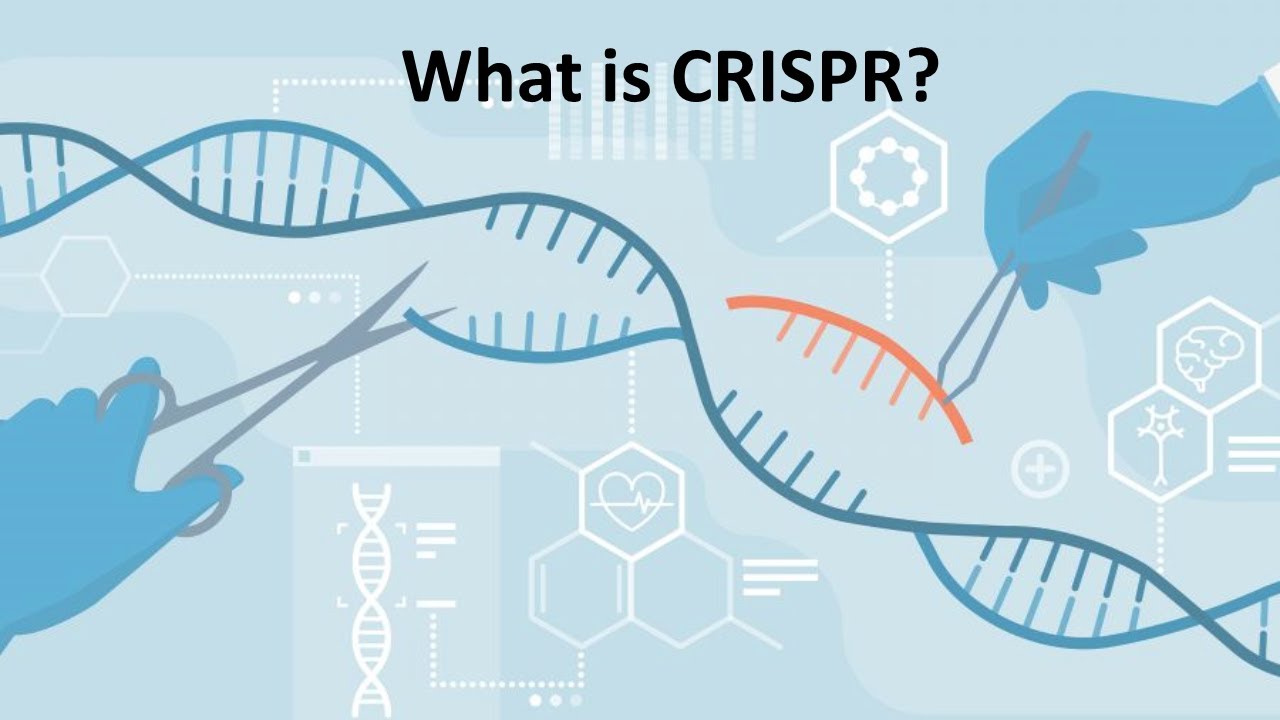 CRISPR Cas9 Explained - YouTube