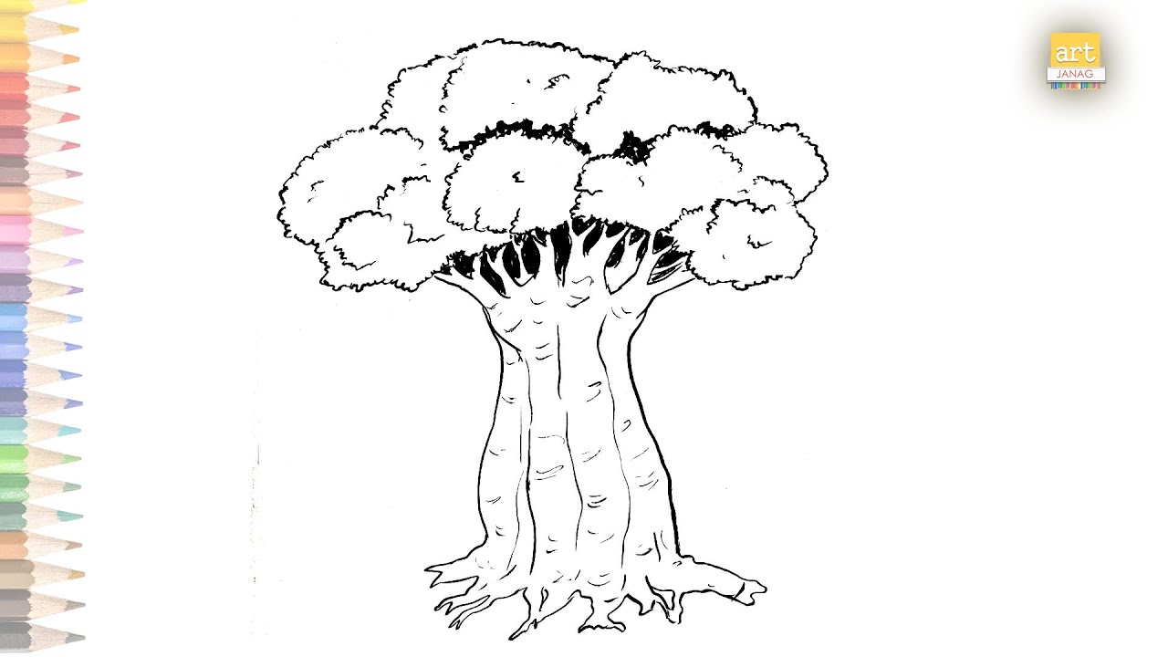 Baobab Tree drawing easy | How to draw A Baobab Tree step by step ...