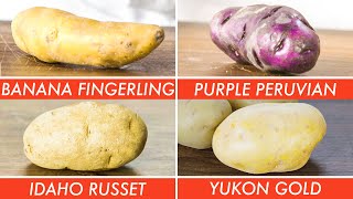 How To Use Every Potato & Why - The Big Guide | Epicurious