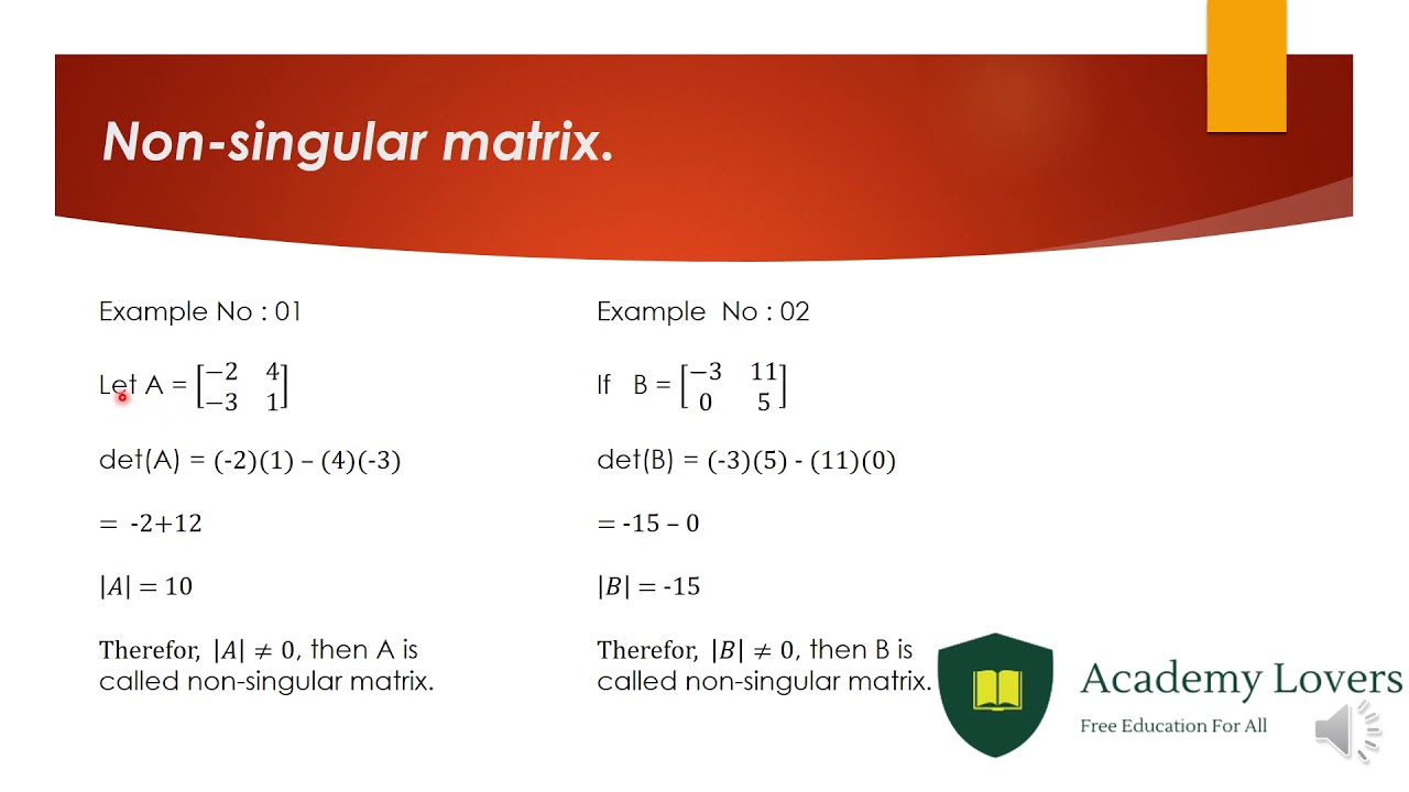 What Is Non Singular Matrix