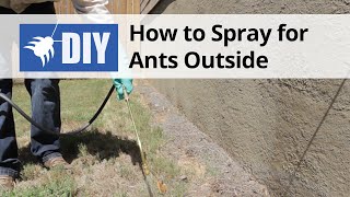 How to Spray for Ants Outside