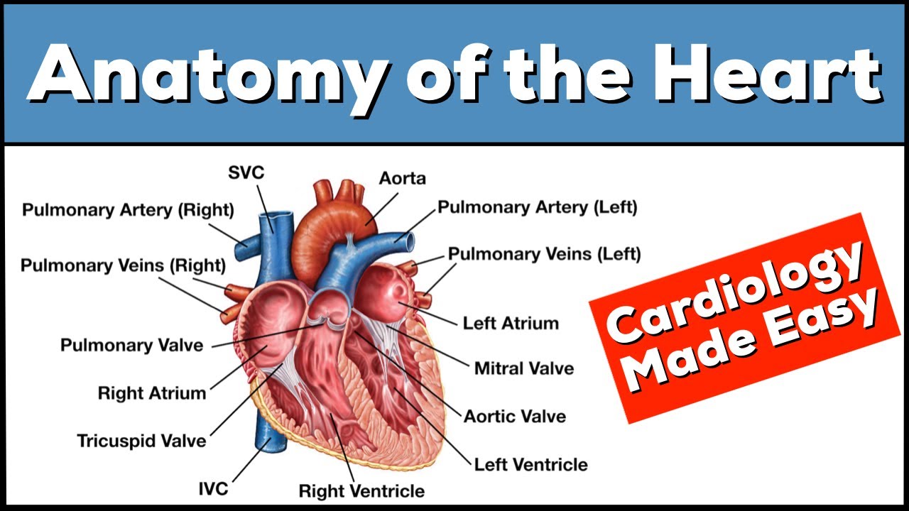 Parts Of The Heart Label