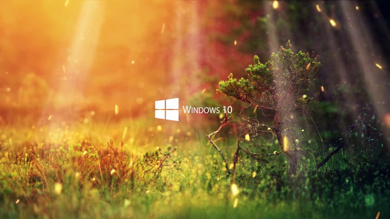 Live wallpaper windows 10 download - paseyou