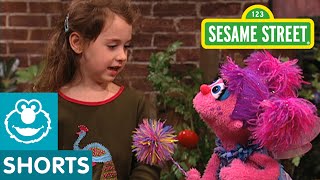 Sesame Street: Abby And Elizabeth Talk About Pets