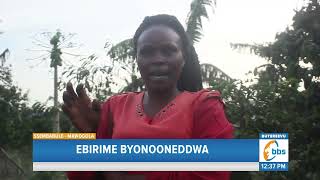 Omuzira Gugoyezza Abalimi Be Ssembabule Ebirime Byonooneddwa Byonna