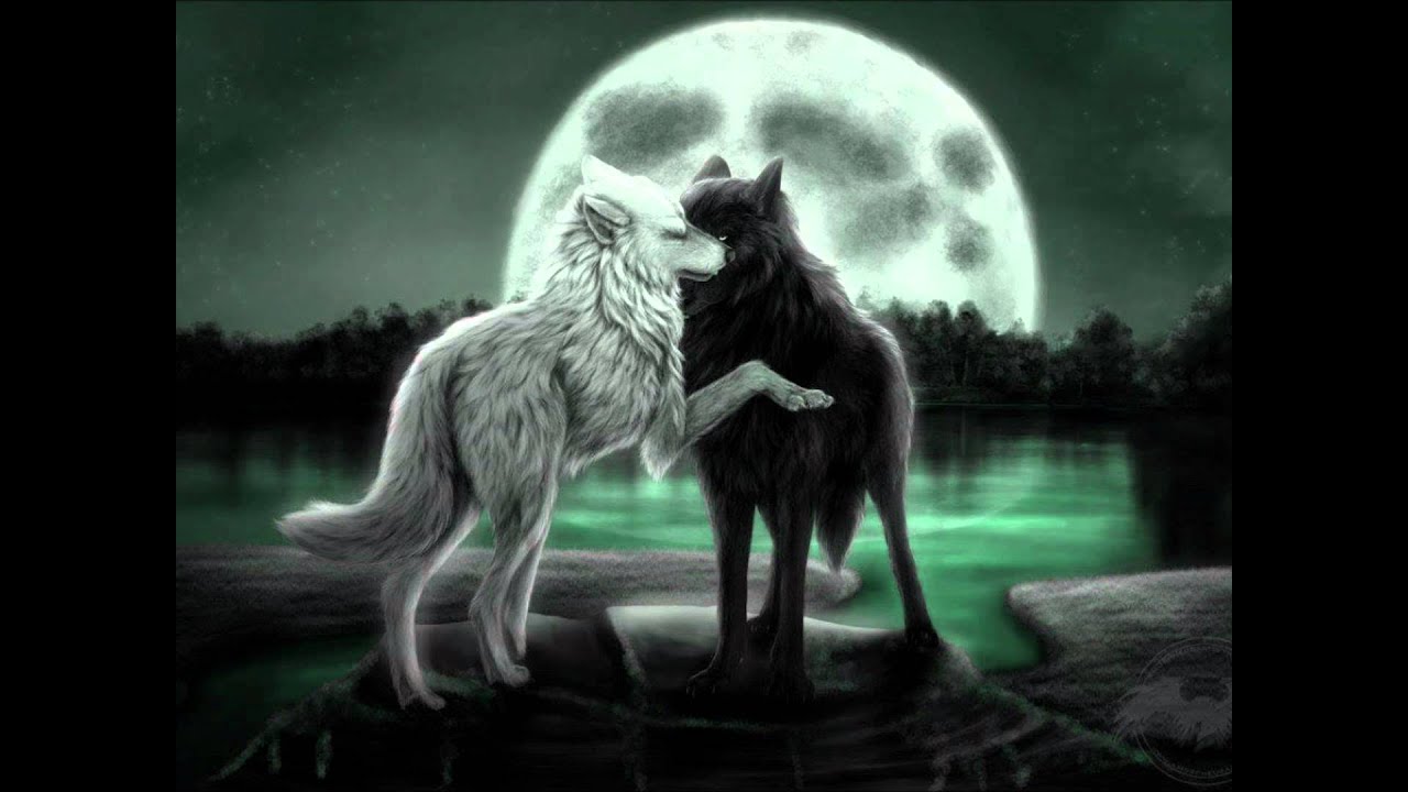 Wolves In Love Pictures